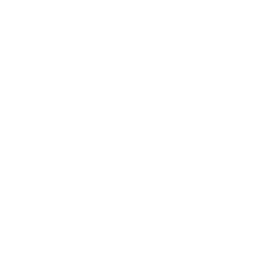 ce logo Layton